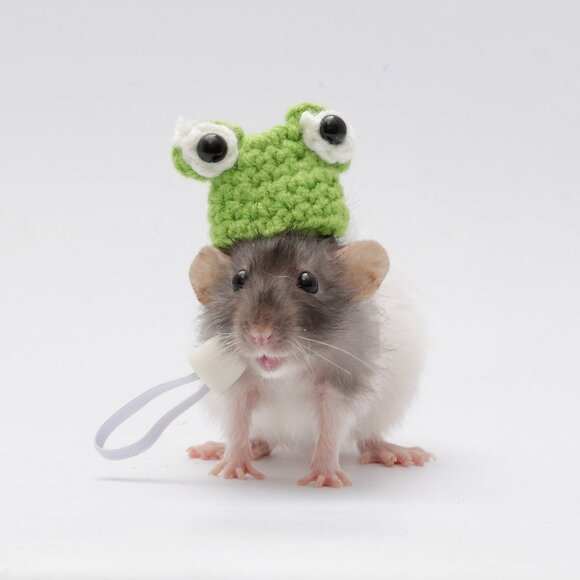 Meet your Posher, Alexis - Picture 1 of 1